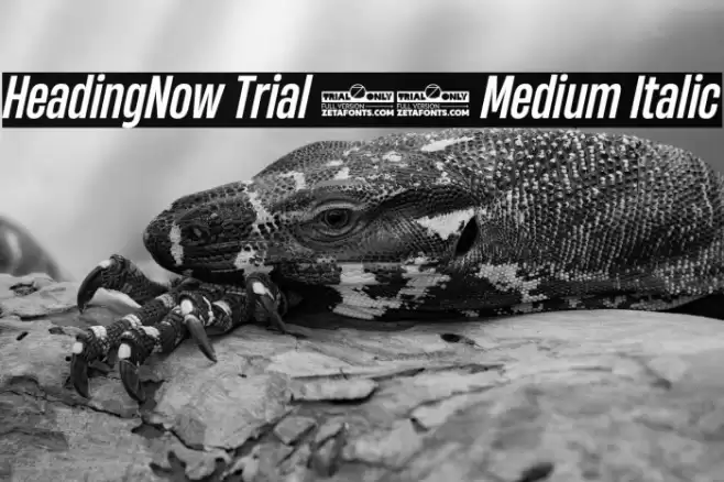 HeadingNow Trial 45 Medium Italic Font examples