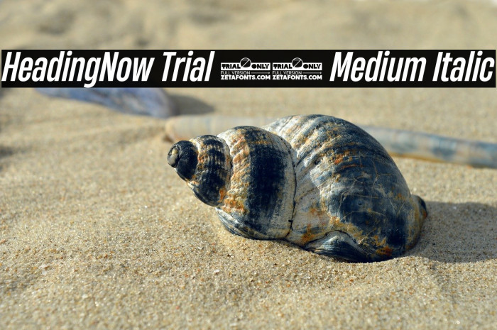 HeadingNow Trial 45 Medium Italic Example 3