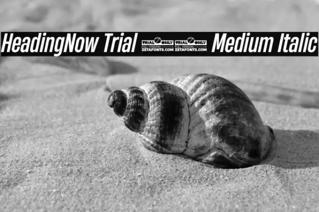 HeadingNow Trial 45 Medium Italic Font examples