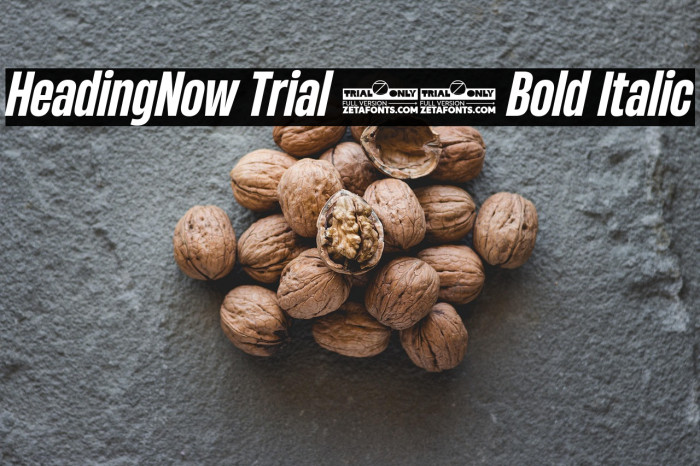 HeadingNow Trial 46 Bold Italic Example 1
