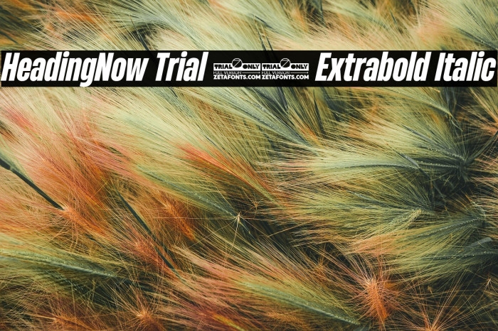HeadingNow Trial 47 Extrabold Italic Example 3