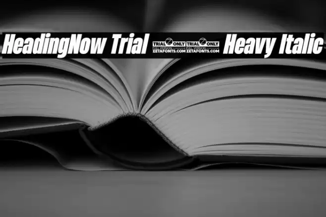 HeadingNow Trial 48 Heavy Italic Font examples