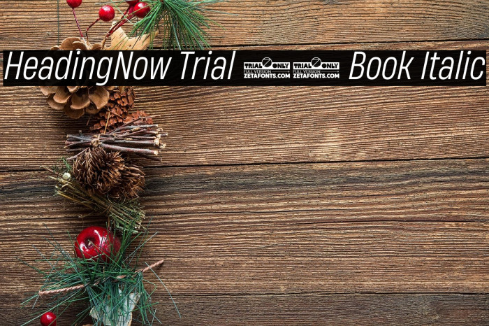 HeadingNow Trial 53 Book Italic Example 2