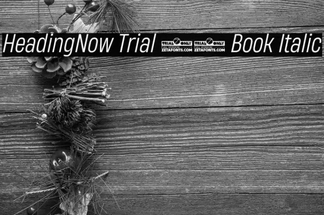 HeadingNow Trial 53 Book Italic Font examples