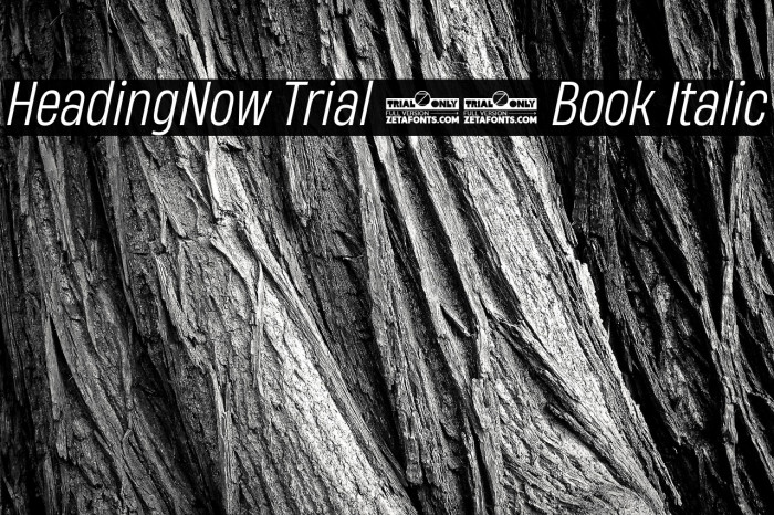 HeadingNow Trial 53 Book Italic Example 3