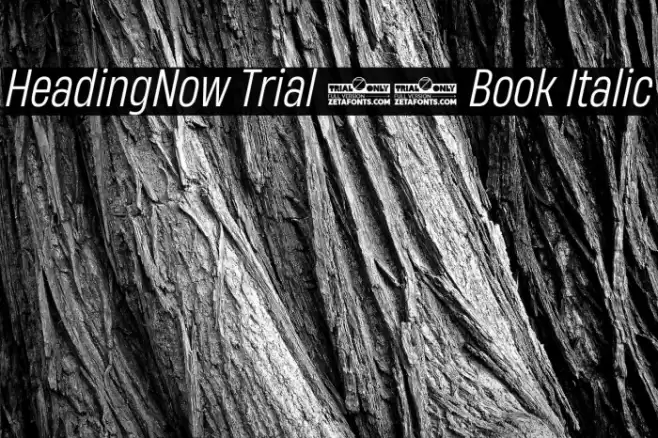 HeadingNow Trial 53 Book Italic Font examples