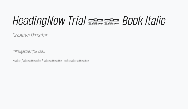 HeadingNow Trial 53 Book Italic Business Card