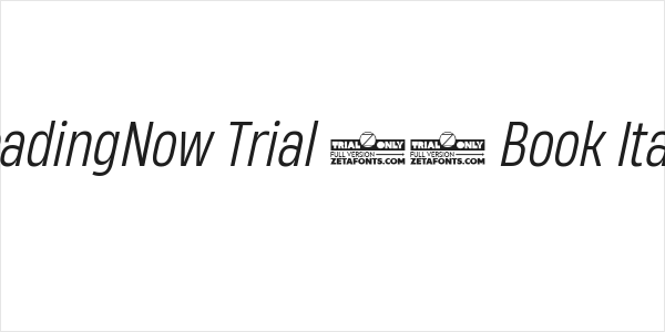 HeadingNow Trial 53 Book Italic Logo
