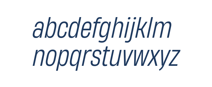 HeadingNow Trial 53 Book Italic Lowercase