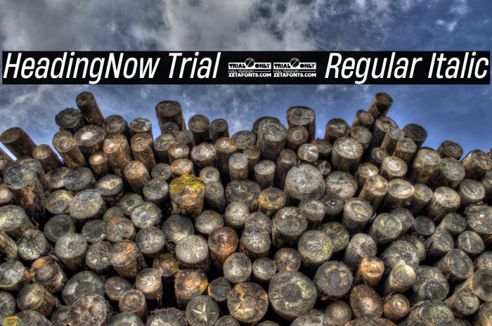 HeadingNow Trial 54 Regular Italic Example 1