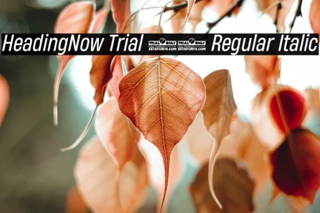 HeadingNow Trial 54 Regular Italic Example 3