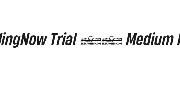 HeadingNow Trial 55 Medium Italic Logo