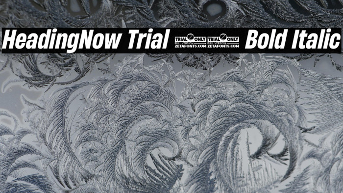 HeadingNow Trial 56 Bold Italic Example 1