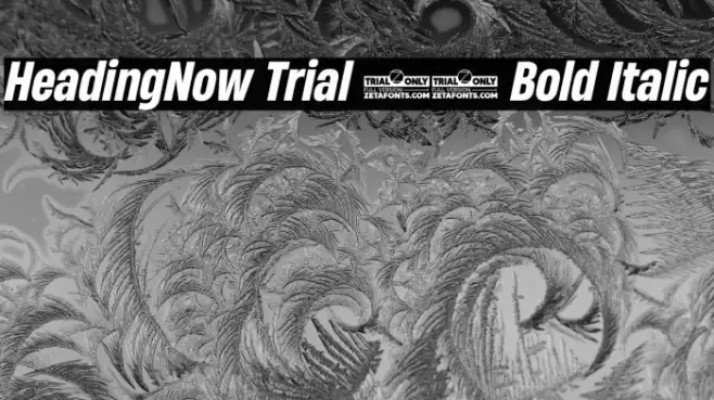 HeadingNow Trial 56 Bold Italic Font examples
