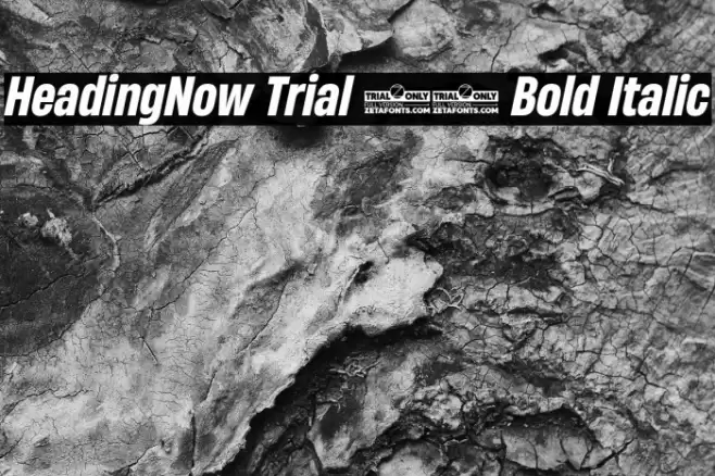 HeadingNow Trial 56 Bold Italic Font examples