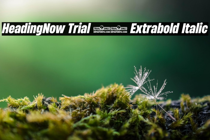 HeadingNow Trial 57 Extrabold Italic Example 2