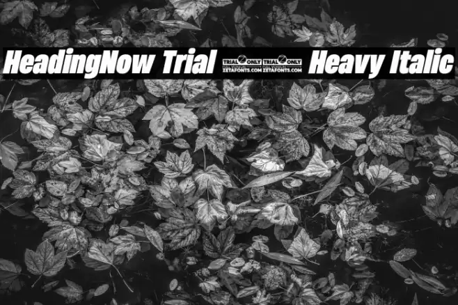 HeadingNow Trial 58 Heavy Italic Font examples