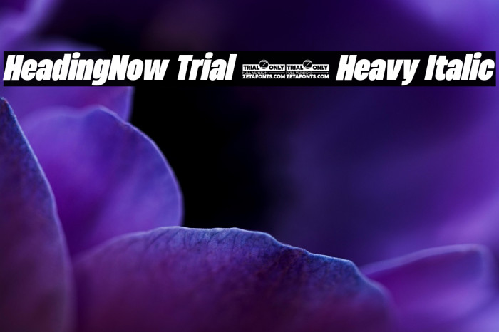 HeadingNow Trial 58 Heavy Italic Example 2