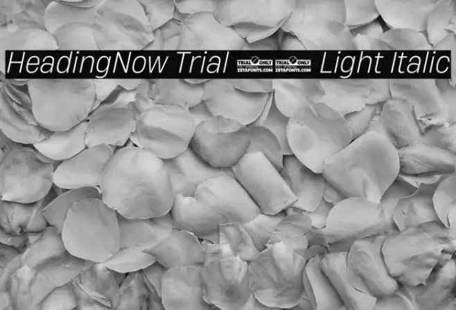 HeadingNow Trial 62 Light Italic Font examples