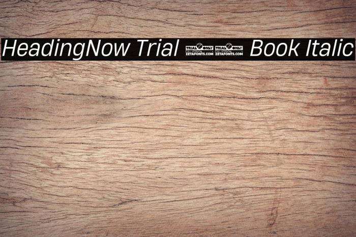 HeadingNow Trial 63 Book Italic Example 1