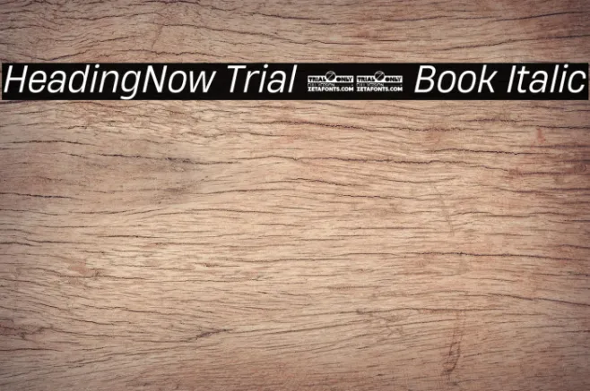 HeadingNow Trial 63 Book Italic Example 1