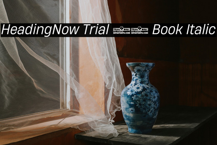 HeadingNow Trial 63 Book Italic Example 3