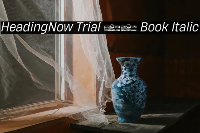 HeadingNow Trial 63 Book Italic Example 3