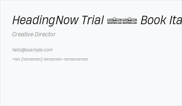 HeadingNow Trial 63 Book Italic Business Card