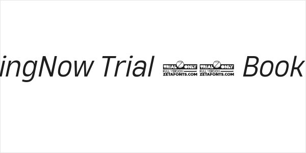 HeadingNow Trial 63 Book Italic Logo