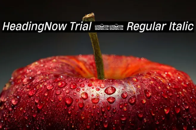 HeadingNow Trial 64 Regular Italic Example 1