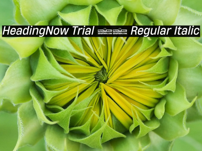 HeadingNow Trial 64 Regular Italic Example 2