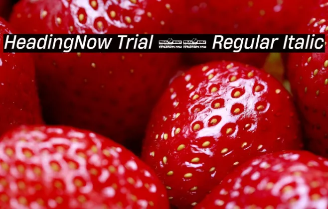 HeadingNow Trial 64 Regular Italic Example 3