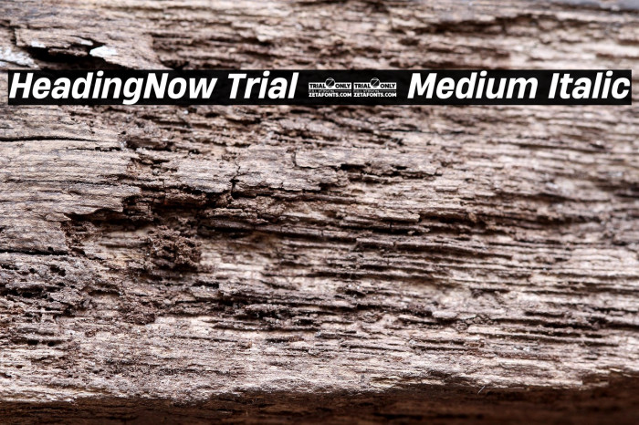 HeadingNow Trial 65 Medium Italic Example 1
