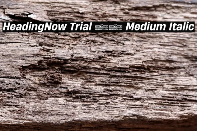 HeadingNow Trial 65 Medium Italic Example 1
