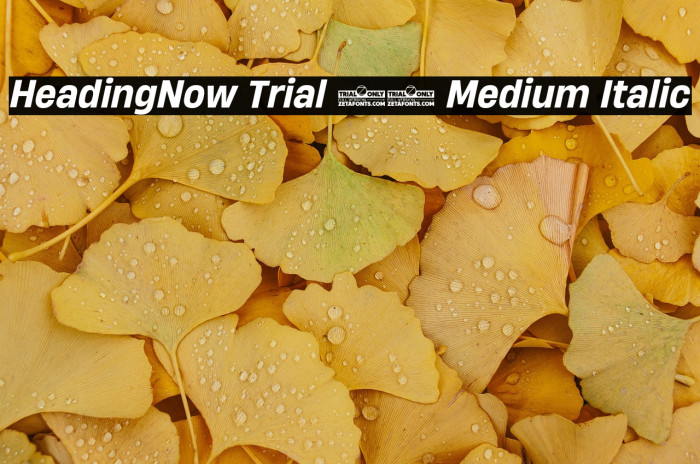 HeadingNow Trial 65 Medium Italic Example 3