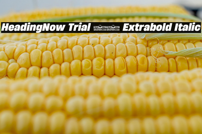 HeadingNow Trial 67 Extrabold Italic Example 2