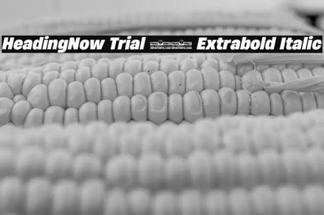 HeadingNow Trial 67 Extrabold Italic Font examples