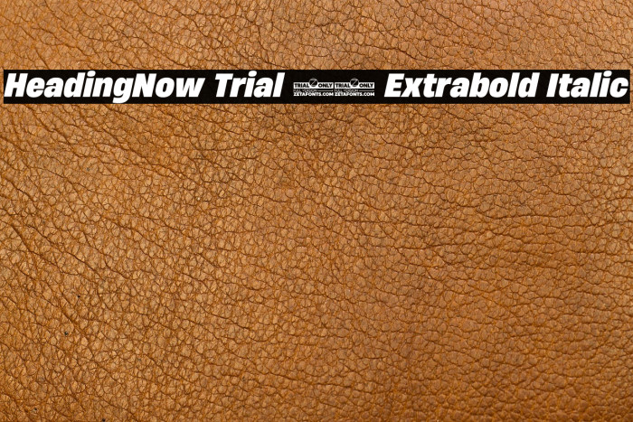 HeadingNow Trial 67 Extrabold Italic Example 3