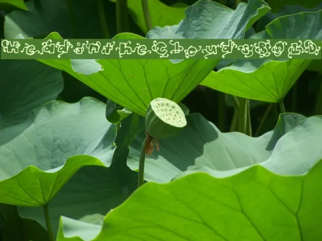 HeadintheCloudsBOLD Example 3