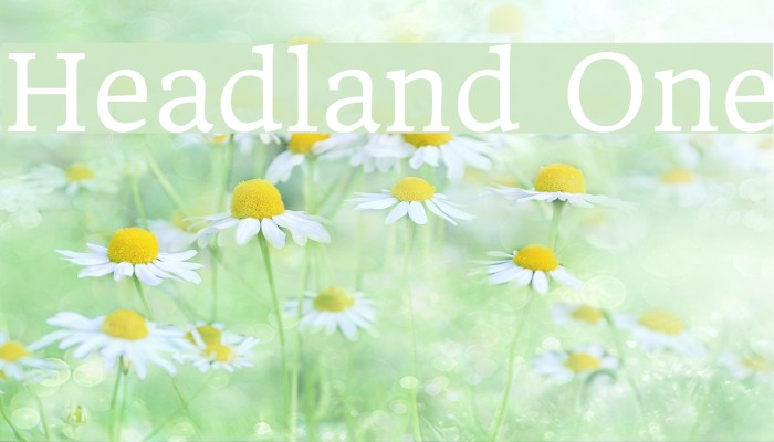 Headland One Font examples
