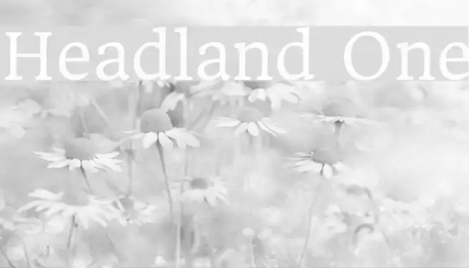 Headland One examples