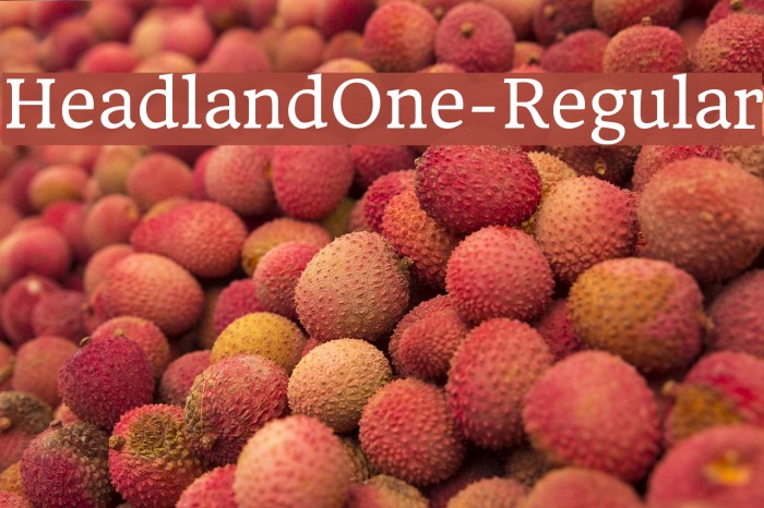 HeadlandOne-Regular Font examples