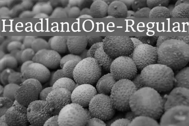 HeadlandOne-Regular Font examples