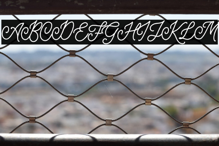 HeadleyScriptDEMO Example 2