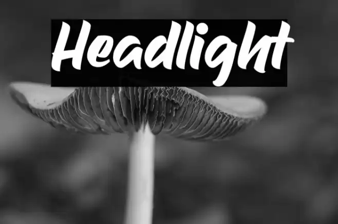 Headlight Font examples