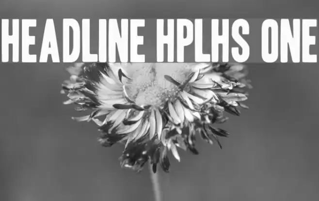 Headline HPLHS One Font examples