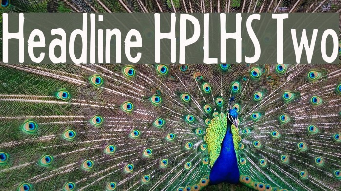 Headline HPLHS Two Font examples