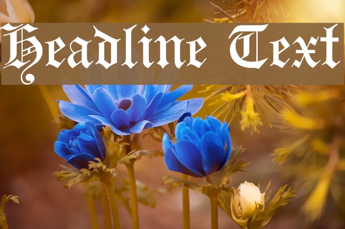 Headline Text Font examples