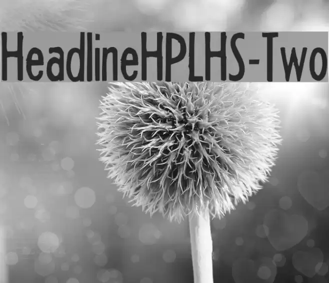HeadlineHPLHS-Two Font examples