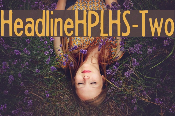 HeadlineHPLHS-Two Font examples